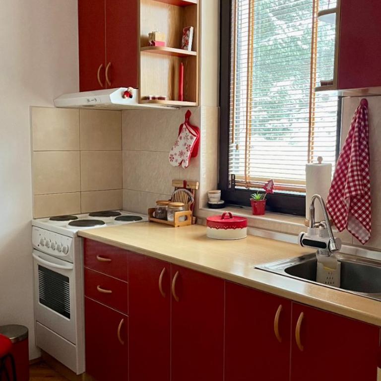 Vila Boris, Apartman Aleksej - Kopaonik - One-Bedroom Apartment - 11