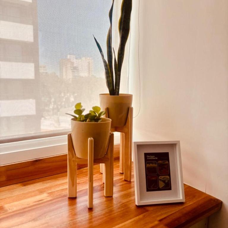 Pirca NQN - Apartamento de 1 dormitorio - 12