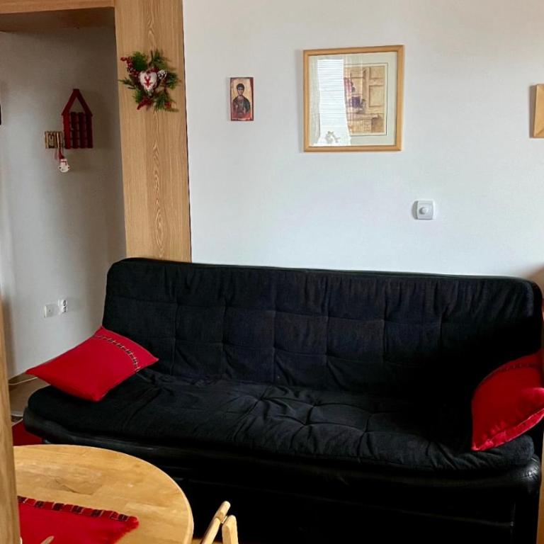 Vila Boris, Apartman Aleksej - Kopaonik - One-Bedroom Apartment - 10