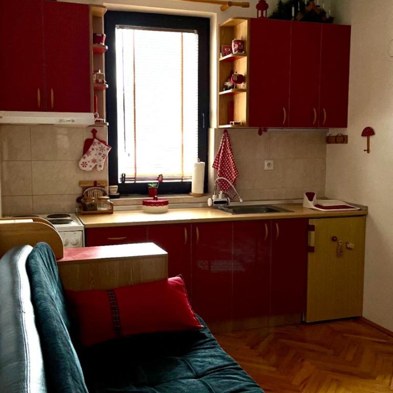 Vila Boris, Apartman Aleksej - Kopaonik - One-Bedroom Apartment - 5