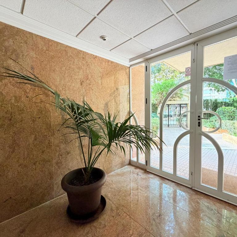 Apartamento a 50m de la playa - Apartamento - 22
