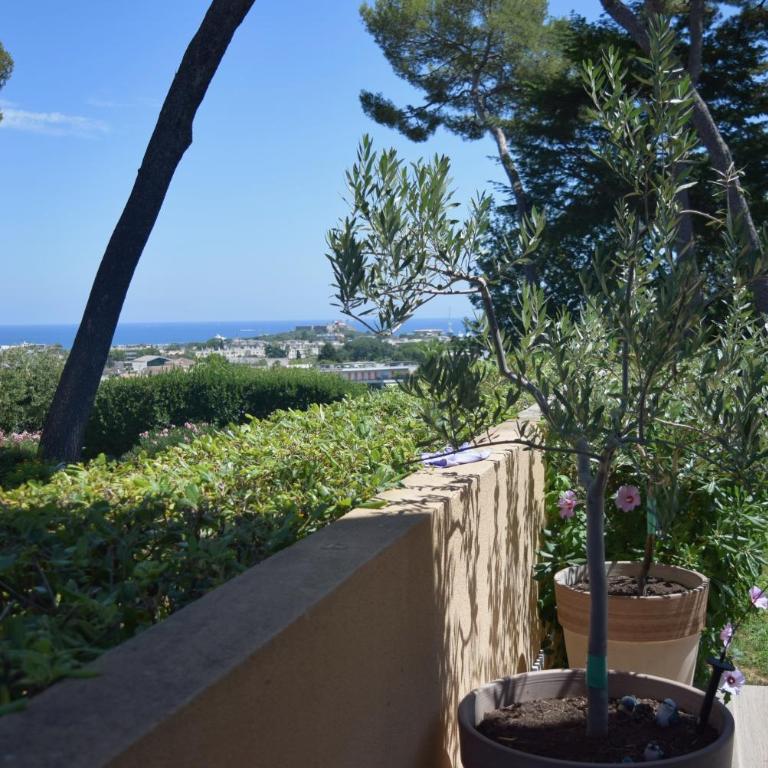 Vue mer rez-de-jardin piscine - Apartment mit 2 Schlafzimmern - 2