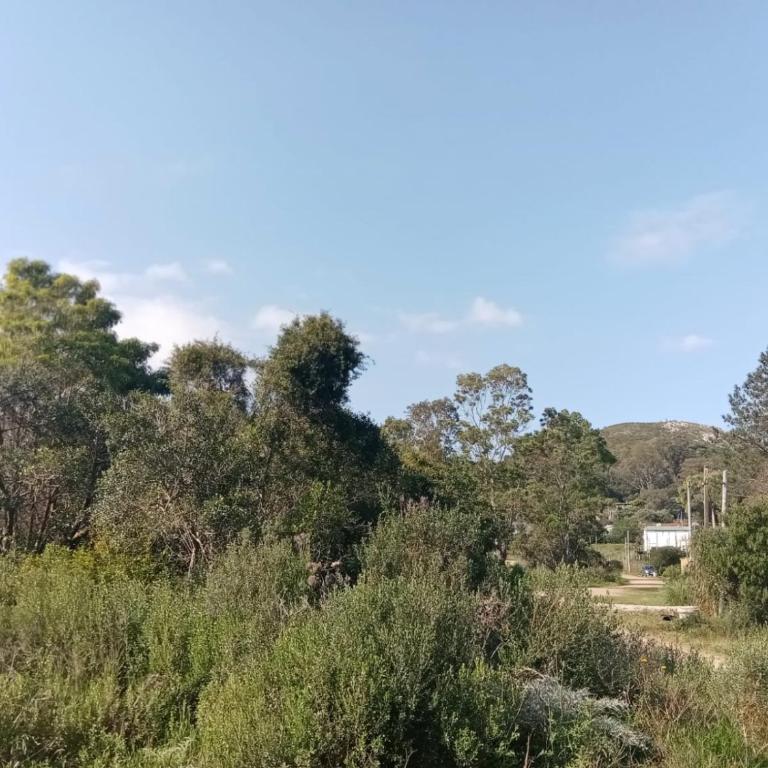 Diciembra - Casa con 1 dormitorio - 4