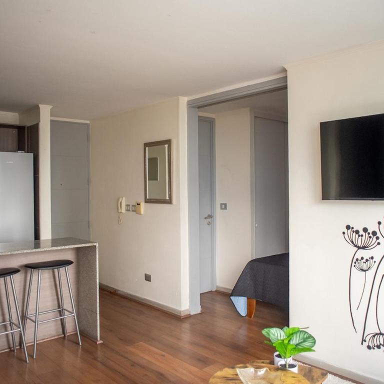 Apartartment 2 Bedrooms Suite Macul Metro Fully Equipped - Two-Bedroom Apartment with Terrace - 38