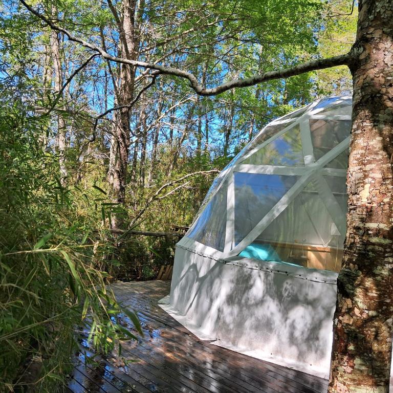 Domos Conguillío - Glamping Domo - One-Bedroom Apartment - 1