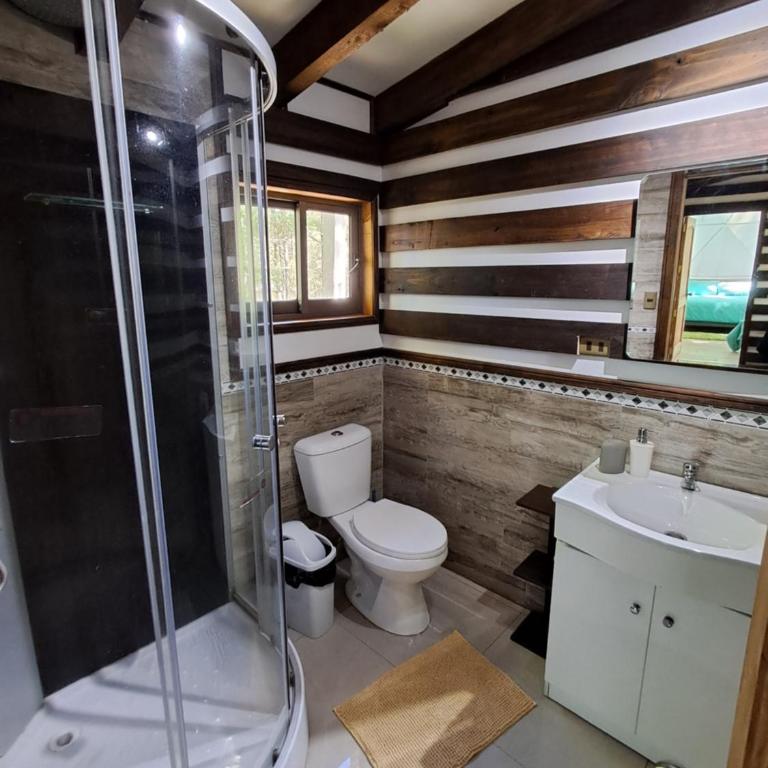 Domos Conguillío - Glamping Domo - One-Bedroom Apartment - 8