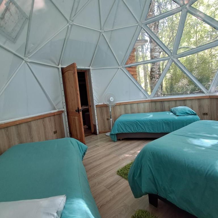 Domos Conguillío - Glamping Domo - One-Bedroom Apartment - 9