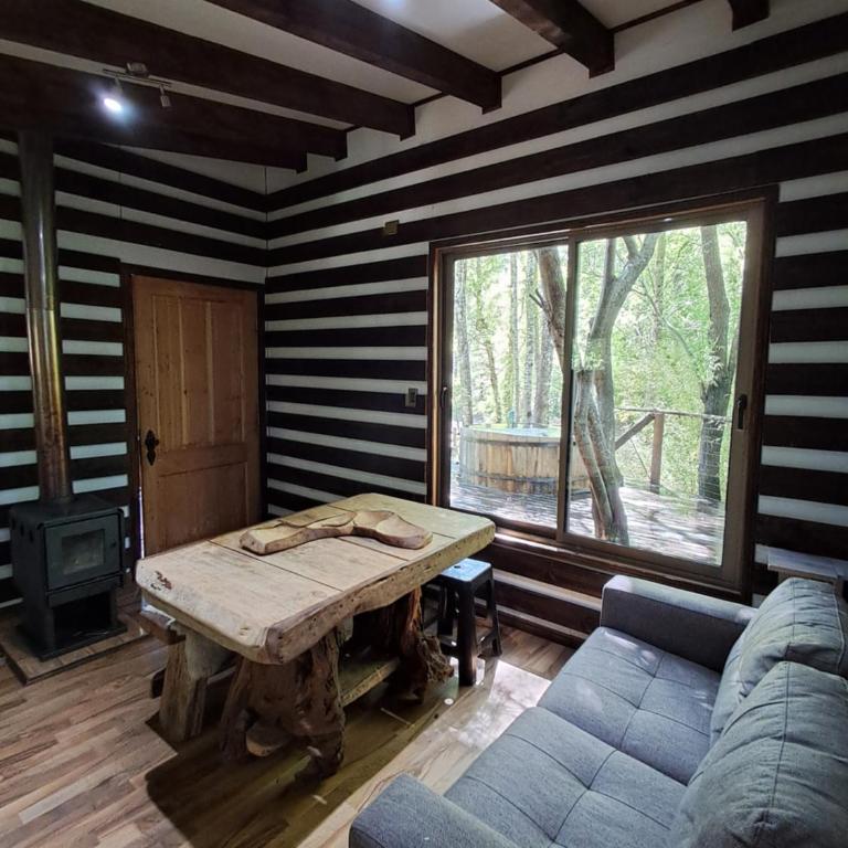 Domos Conguillío - Glamping Domo - One-Bedroom Apartment - 11