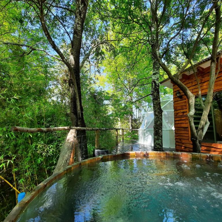 Domos Conguillío - Glamping Domo - One-Bedroom Apartment - 3