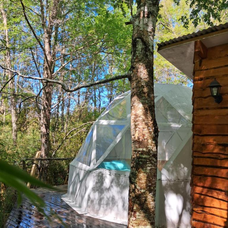 Domos Conguillío - Glamping Domo - One-Bedroom Apartment - 14