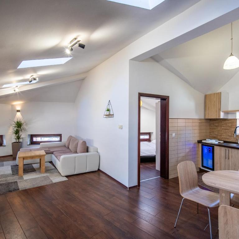 Vijećnica Loft Apartment - Apartman sa 1 Spavaćom Sobom - 1