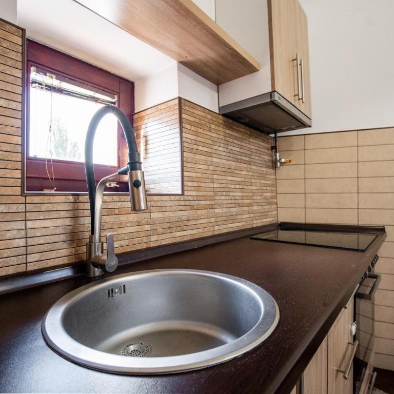 Vijećnica Loft Apartment - Apartman sa 1 Spavaćom Sobom - 10