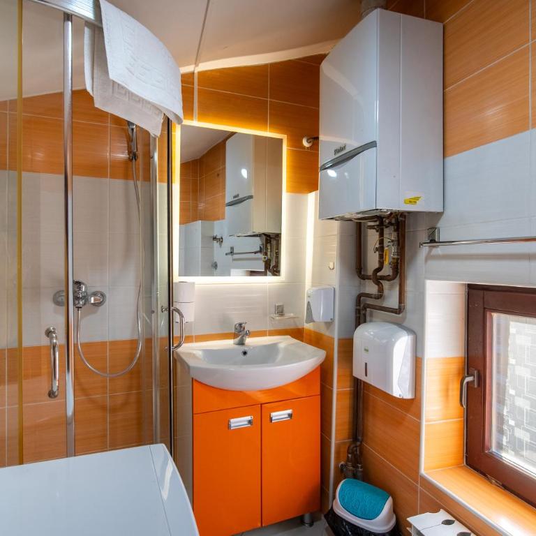 Vijećnica Loft Apartment - Apartman sa 1 Spavaćom Sobom - 13
