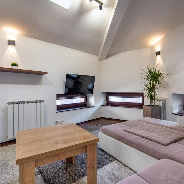Vijećnica Loft Apartment - Apartman sa 1 Spavaćom Sobom - 20