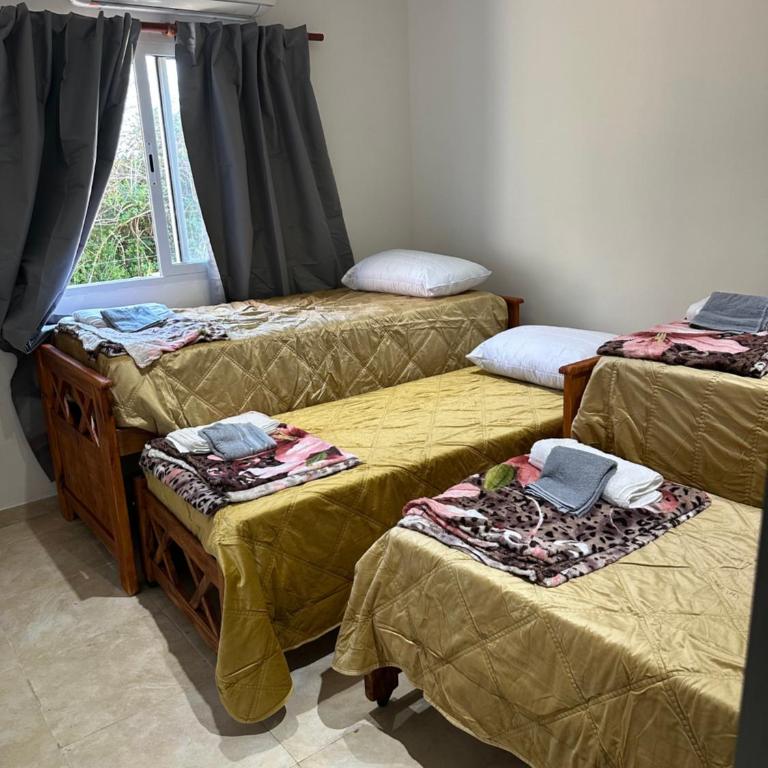 Aranduroga country club - Two-Bedroom House - 19
