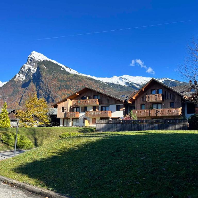 Confortable T2 proche télécabine Grand Massif - FR-1-624-41 - Appartamento (5 Adulti) - 14