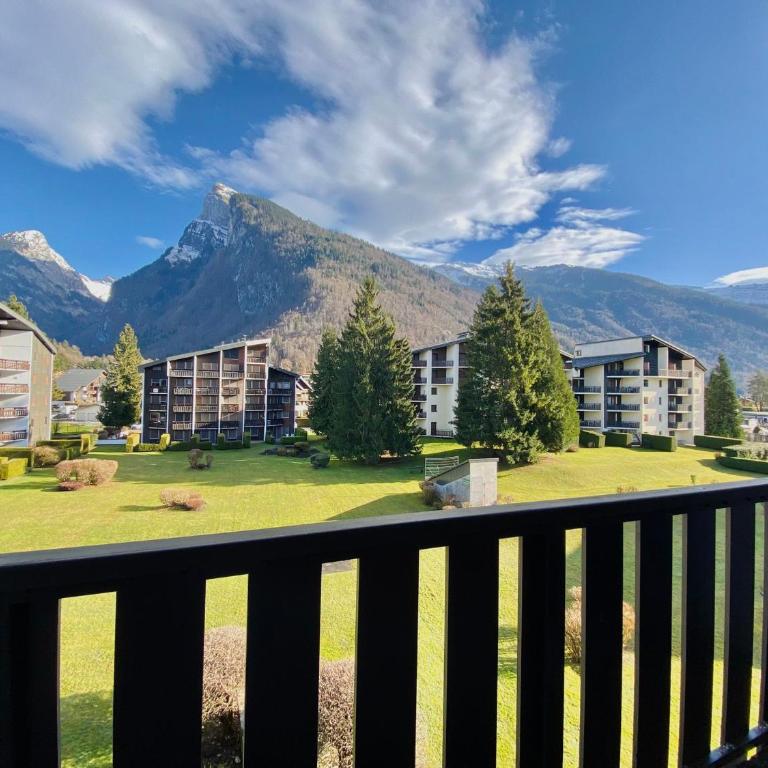 Studio lumineux au centre de Samoëns, vue sur Le Criou - FR-1-624-52 - Studio - 13