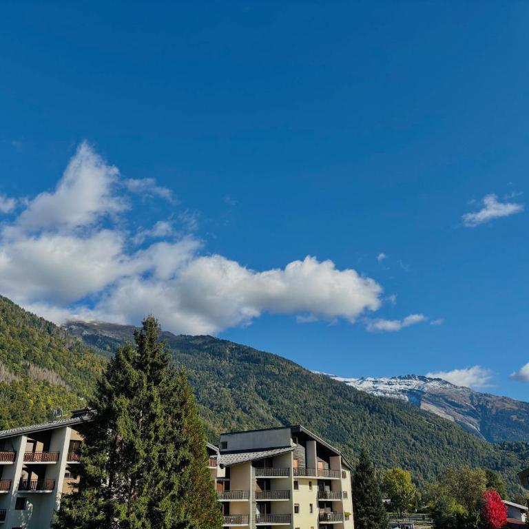 Studio lumineux au centre de Samoëns, vue sur Le Criou - FR-1-624-52 - Studio - 17