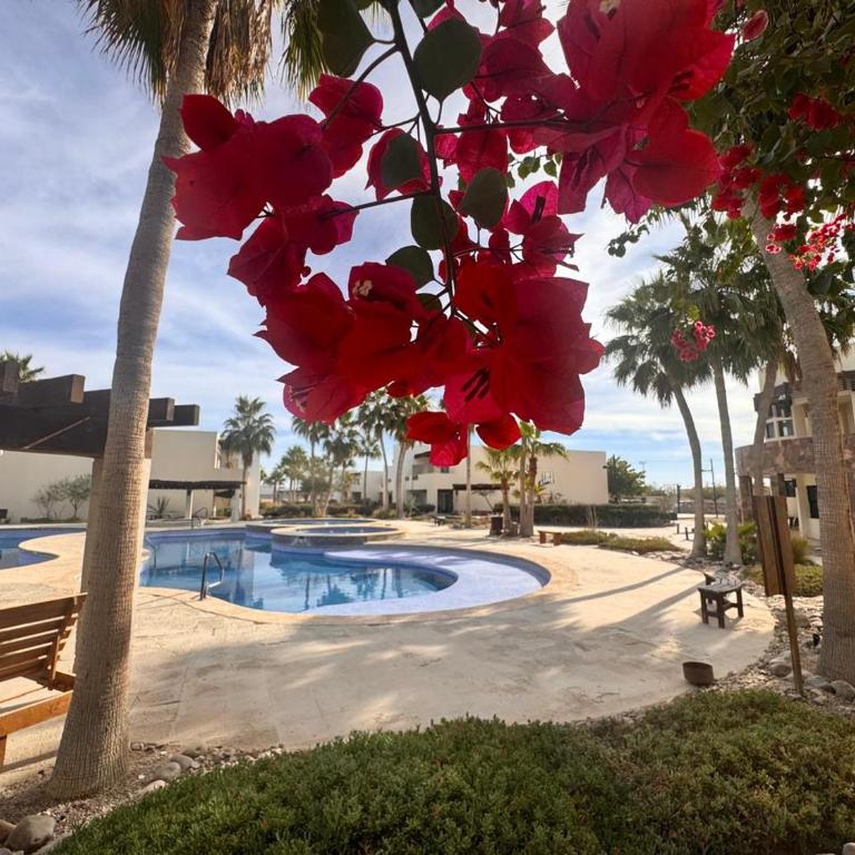 Caracoles Paradise Homes N106 - Casa de 2 dormitorios - 1