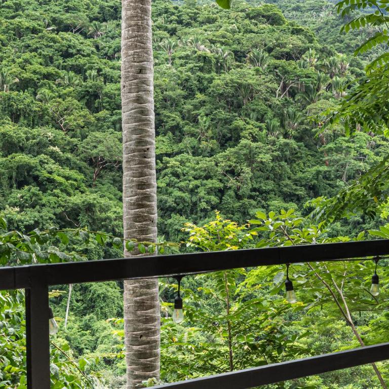 Ecosoul Casa Azul Cuale - Single Room - 2