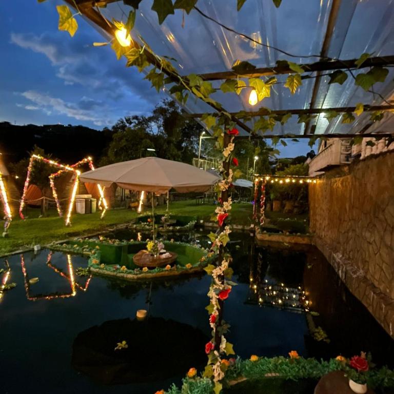 Ecohotel Java - Apartamento con vistas al lago - 16