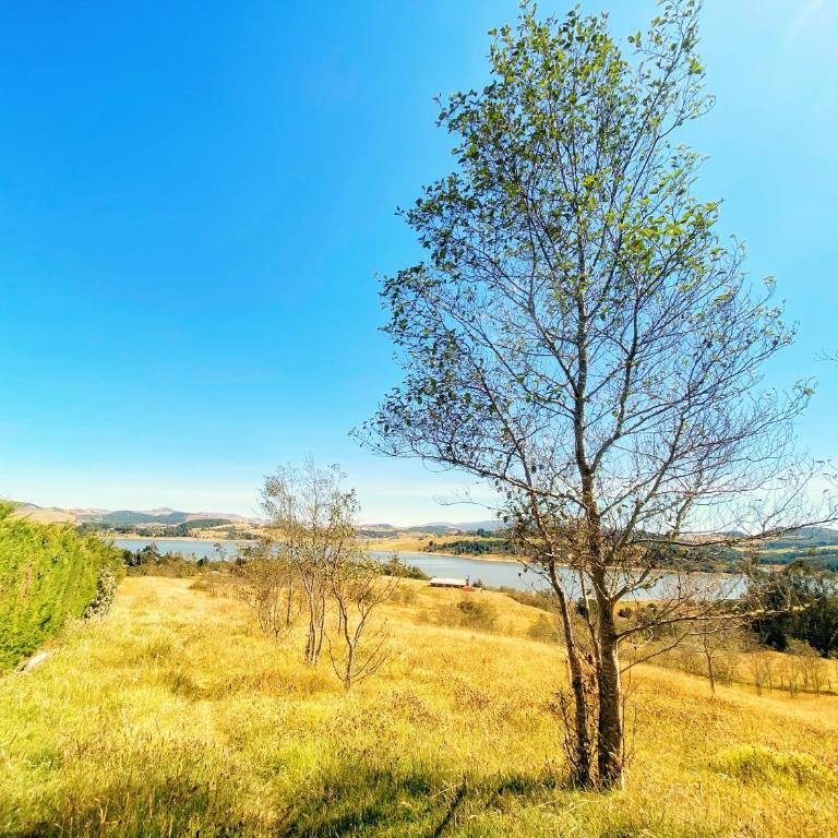 Sidarta, Casa Grande - Bella Casita, Casa Pequeña - Chalet de 3 dormitorios - 1