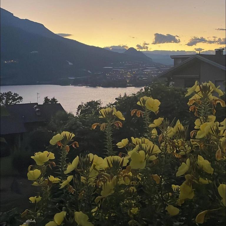 Lake Apartment Gold, Lago di Caldonazzo - Apartment mit 1 Schlafzimmer - 23