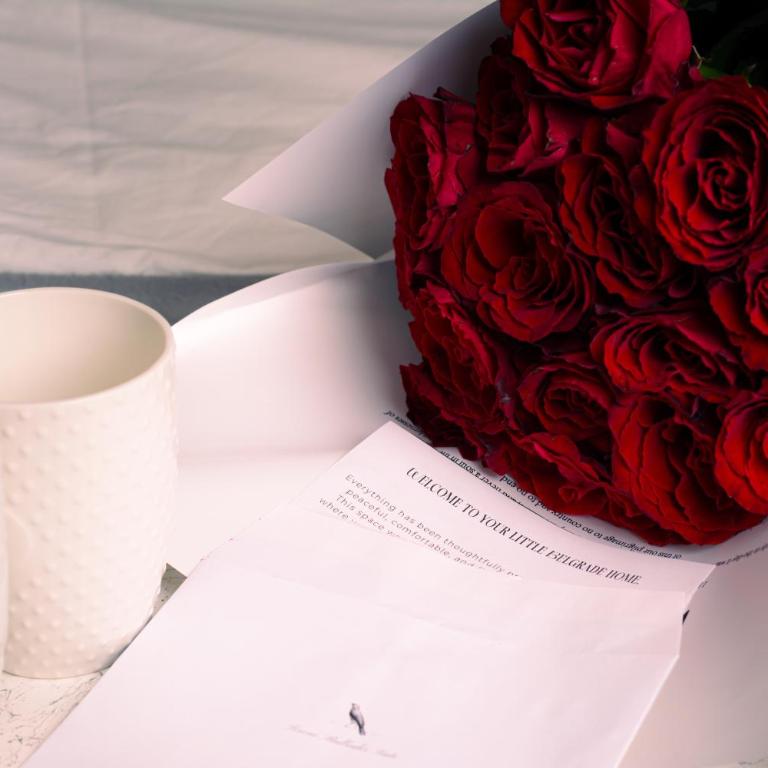 Serene Bulbuder Suite - Apartman sa Balkonom - 3