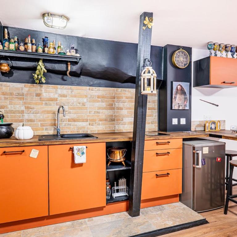 L'antre Des Sorciers - Harry Potter - Immersive - Appartement 2 Chambres - 12