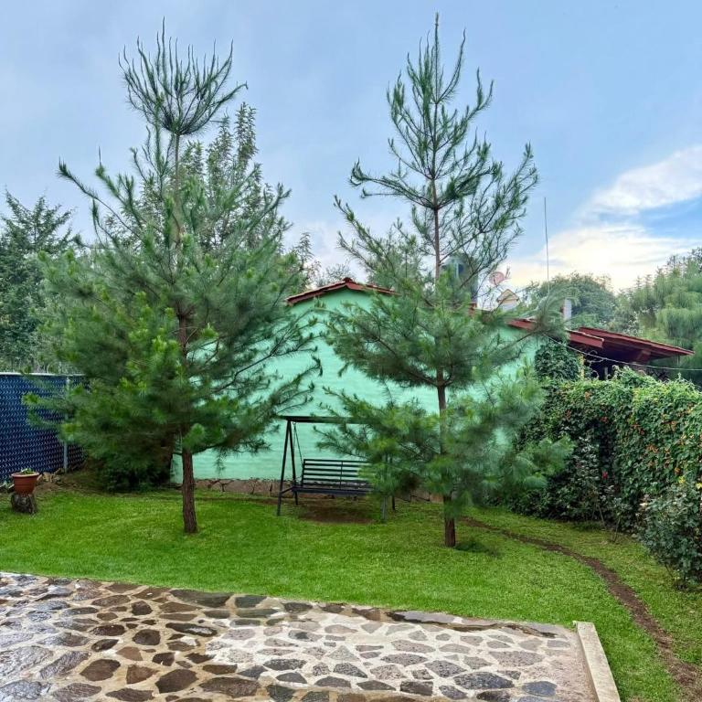 Cabañas Lujos - Casa de 3 dormitorios - 6