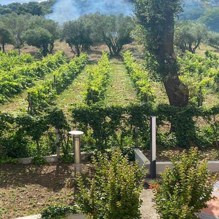 Awesome Home In Montefiascone - Casa Vacanze con 4 Camere da Letto - 7