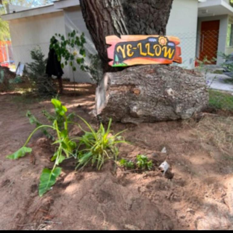 Ye-llow a place to enjoy 4, 6, 8 ppl - Casa - 11