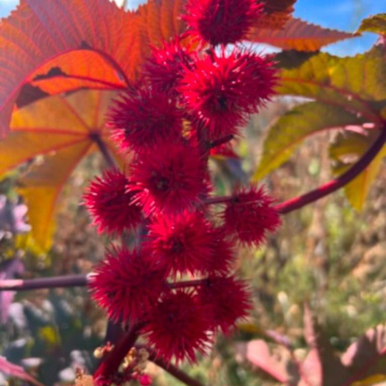 Ye-llow a place to enjoy 4, 6, 8 ppl - Casa - 15