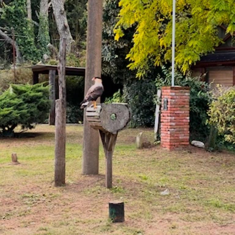 Ye-llow a place to enjoy 4, 6, 8 ppl - Casa - 39