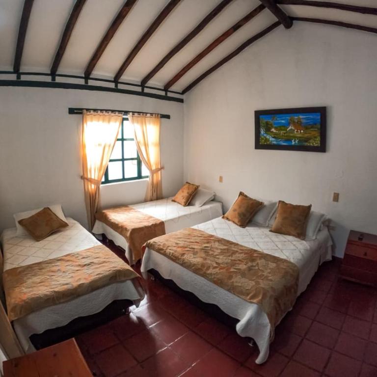 Hostal casa de los sueños - Habitación cuádruple - 3