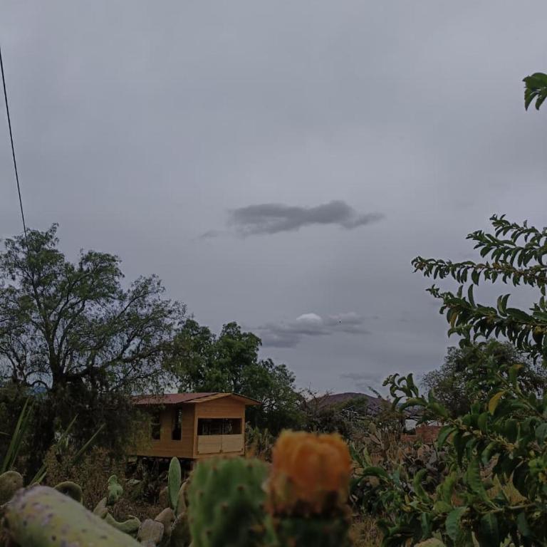 Glamping Entre Nopales, Villa de Leyva - Suite Junior con vistas a la montaña - 24