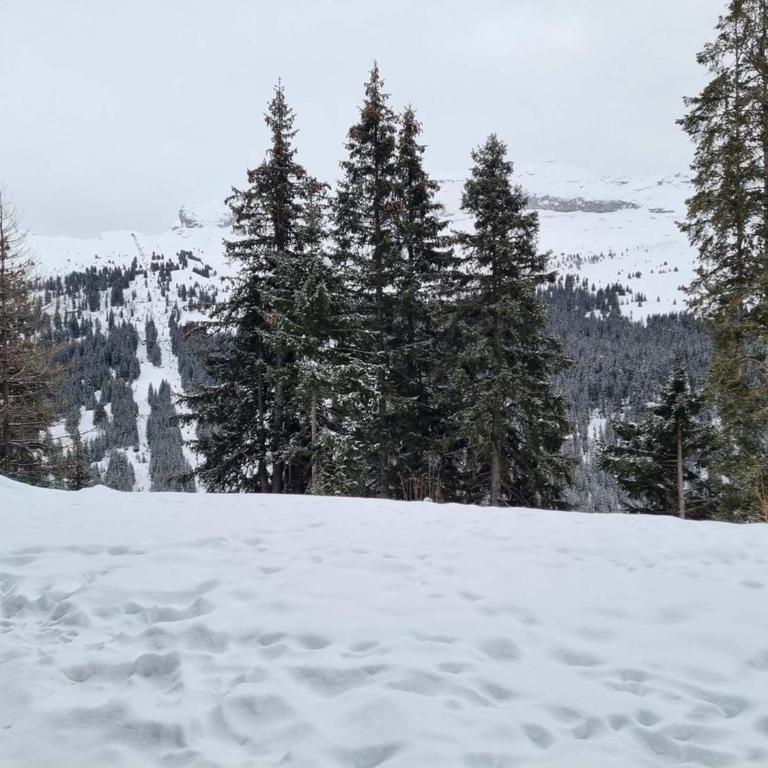 Studio Cabine F4 en Station Ski - 200m des Pistes - FR-1-687-118 - Studio - 8
