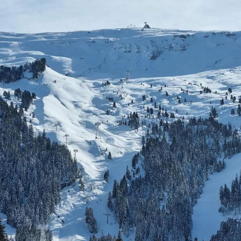 Studio Cabine F4 en Station Ski - 200m des Pistes - FR-1-687-118 - Studio - 9