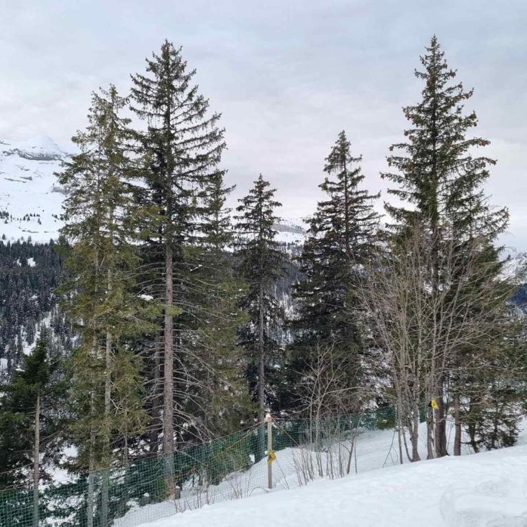 Studio Cabine F4 en Station Ski - 200m des Pistes - FR-1-687-118 - Studio - 10