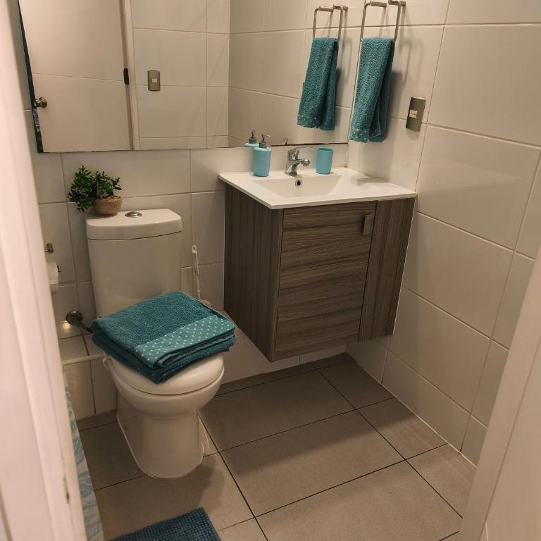 Vive Santiago con Estilo y Espacio - Two-Bedroom Apartment with Terrace - 24