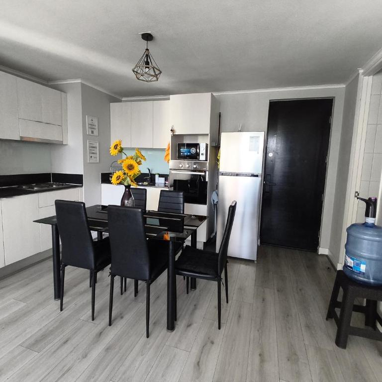 Vive Santiago con Estilo y Espacio - Two-Bedroom Apartment with Terrace - 5
