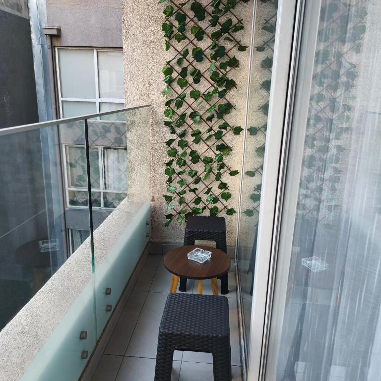Vive Santiago con Estilo y Espacio - Two-Bedroom Apartment with Terrace - 33
