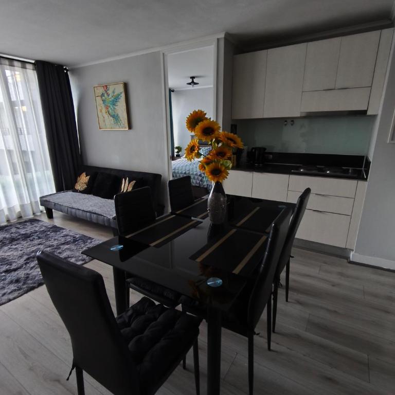 Vive Santiago con Estilo y Espacio - Two-Bedroom Apartment with Terrace - 2