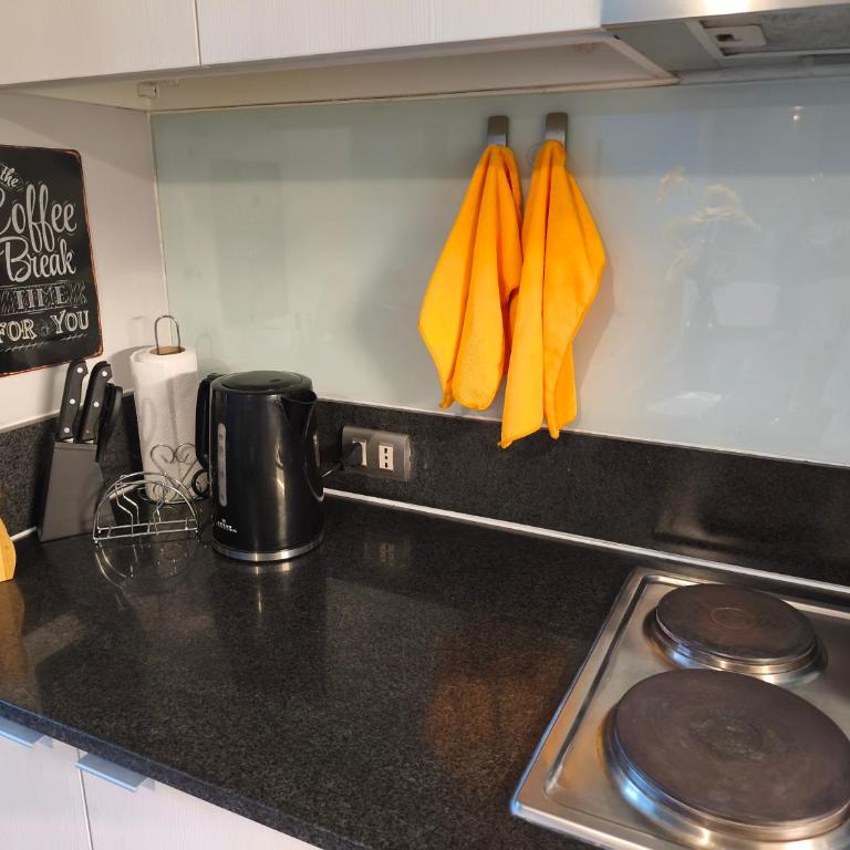 Vive Santiago con Estilo y Espacio - Two-Bedroom Apartment with Terrace - 15