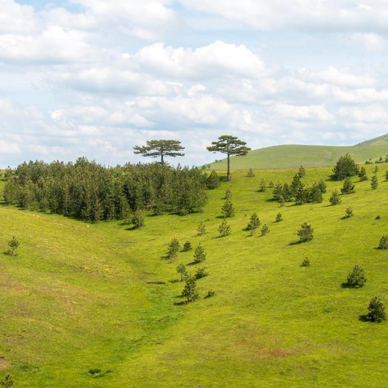 TheViewResort - Brvnara sa 3 Spavaće Sobe - 11