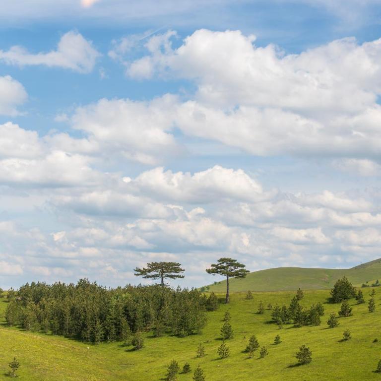 TheViewResort - Brvnara sa 3 Spavaće Sobe - 14