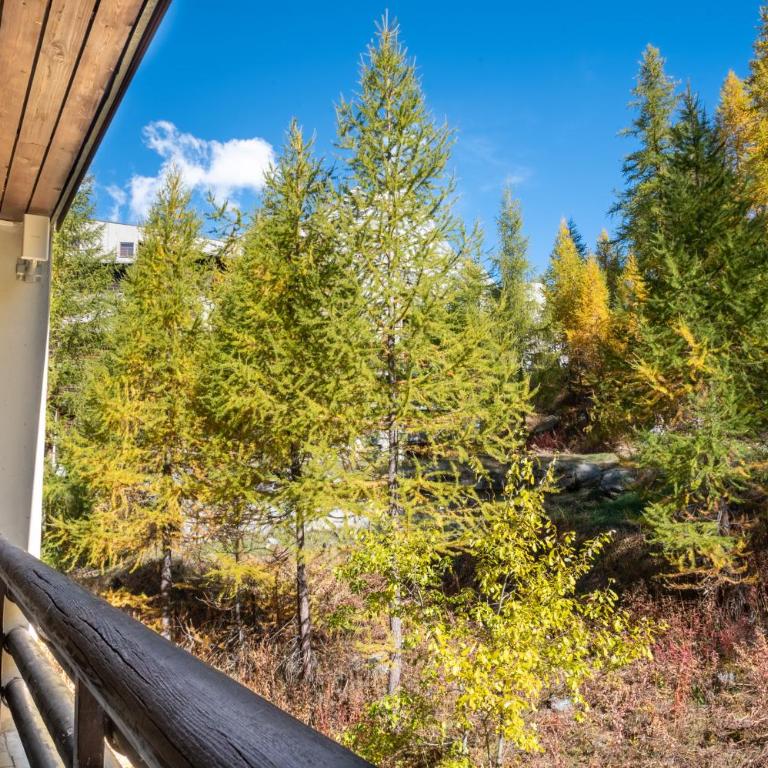 HelloCHALET Le Bois du Cervin - Matterhorn View, Ski-In Ski-Out - Appartamento con 1 Camera da Letto - 9