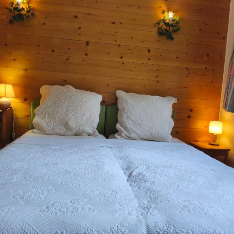 Appartement cosy avec piscine ski à proximité - Appartement - 14