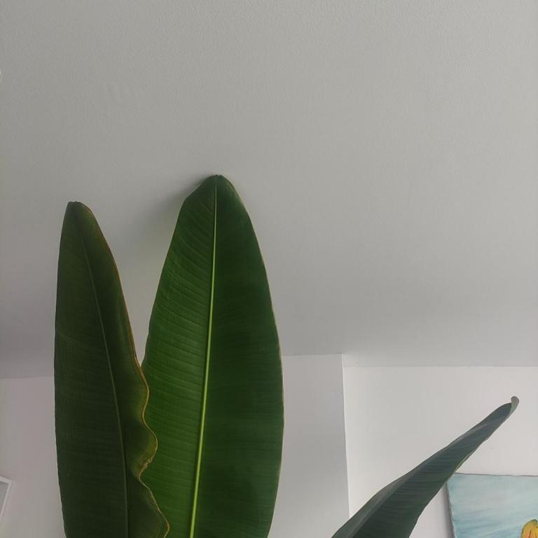 Reserva de la sierra - Apartamento de 3 dormitorios y vistas al mar - 1