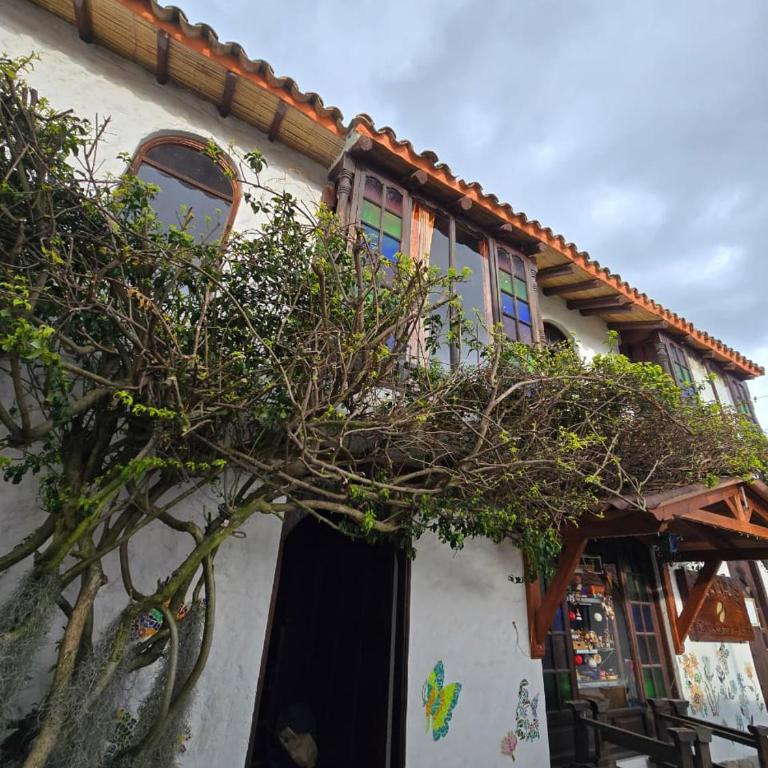 Hospedaje Casa Arte con Aroma de café - Apartamento de 1 dormitorio - 17
